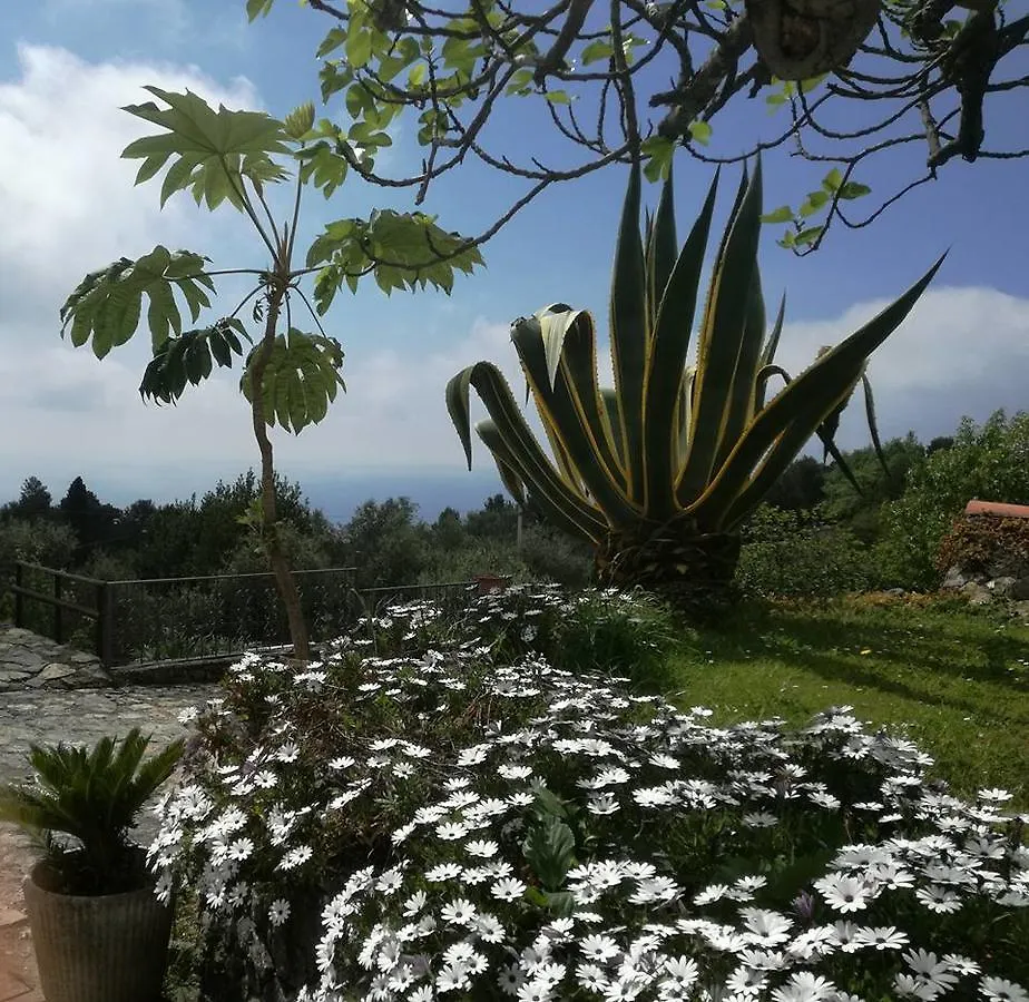 Da Sonia B&B Lerici 0*,