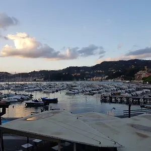 Vittoria Lerici